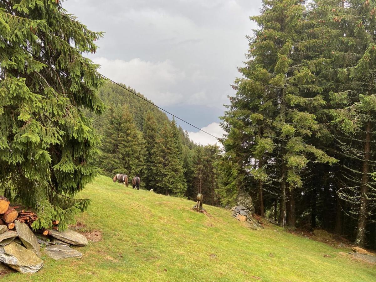 Do-Minus Boutique Home & Private Spa Ca Pedrot Mountain Cottage Monte Carasso Exterior foto